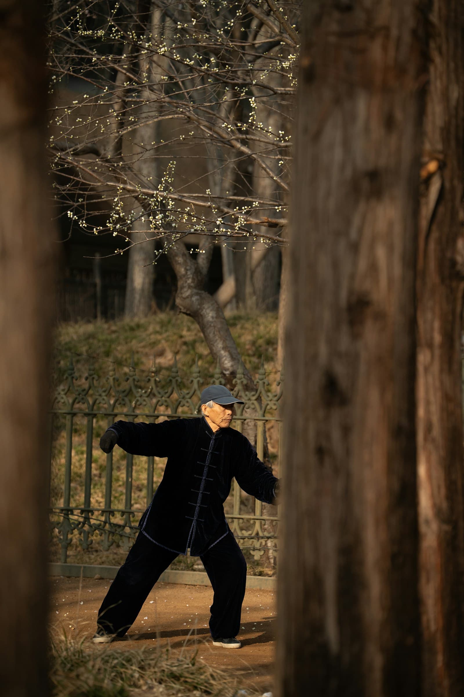 Balance and fall prevention training scene